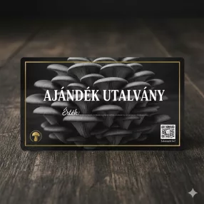 Ajándék és Kiegészítők